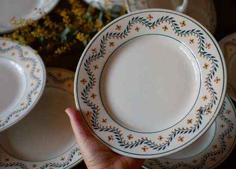 mimosa plate
