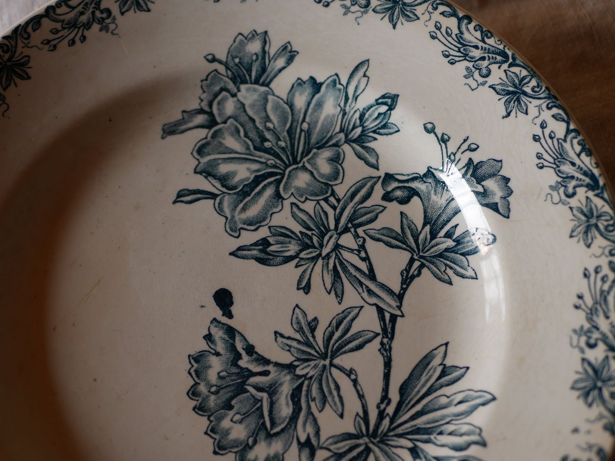 フランスアンティーク サンタマンディナープレートset6枚 花柄リム