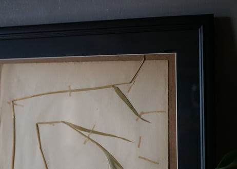 herbier no.7