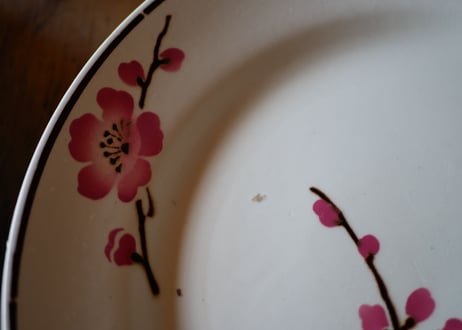 Fleurs de pêche  plate