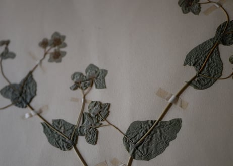 Botanical ART 1929 　no.19