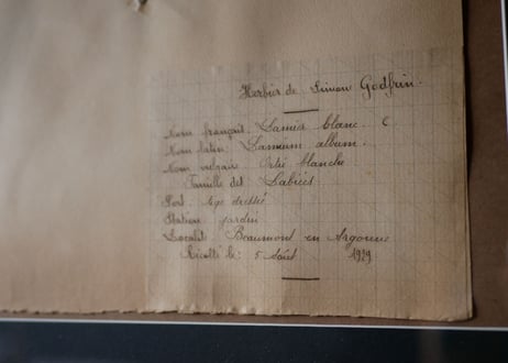 herbier no.1