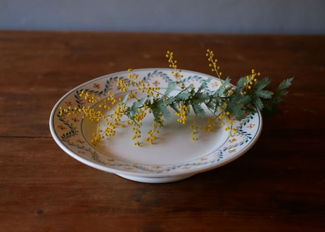 Compotier, mimosa