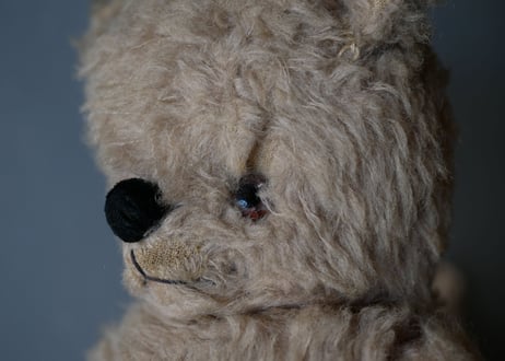 old teddy bear