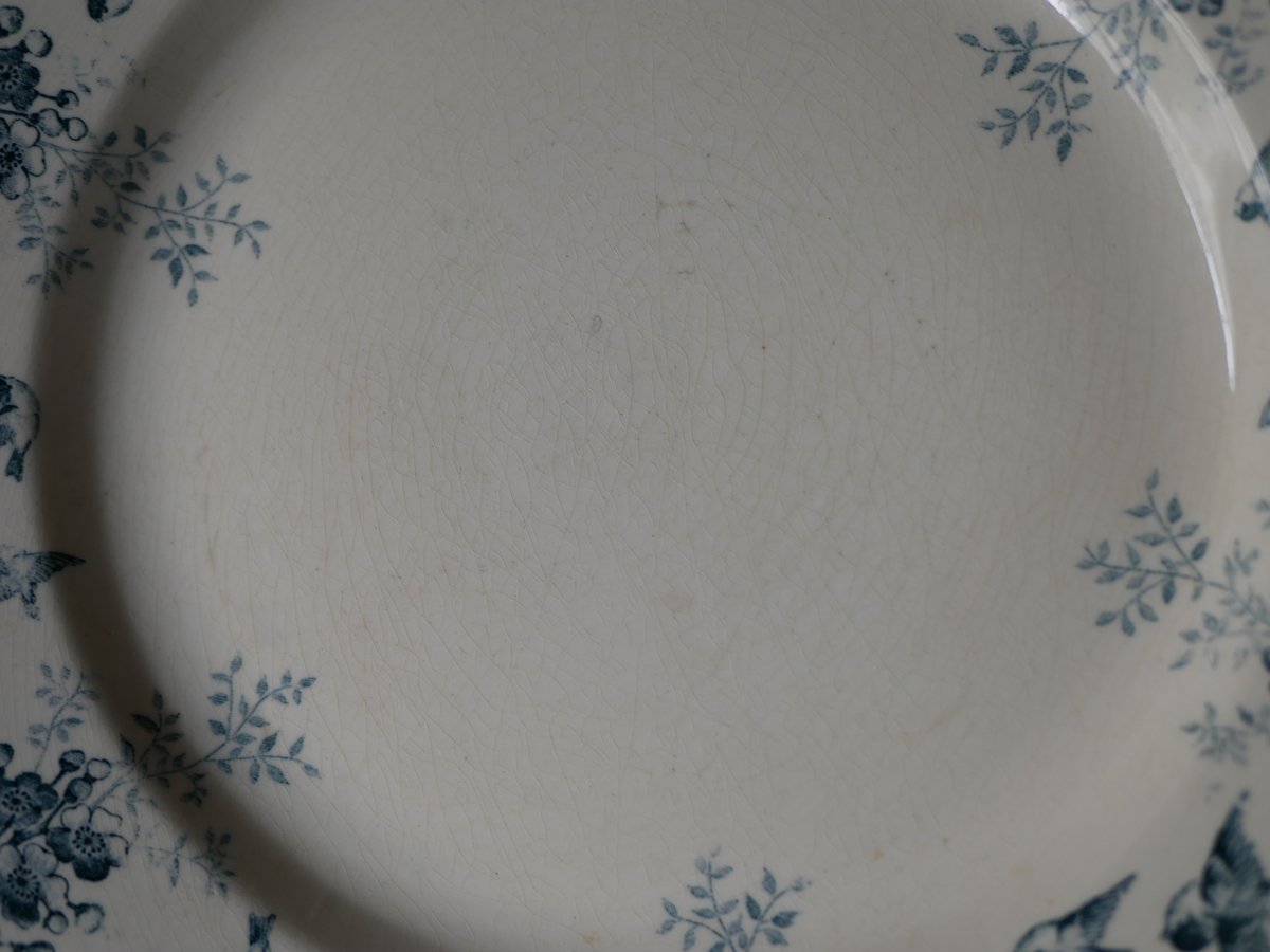 アンティークプレート すずめ 鳥 フランスアンティーク アンティークの