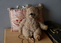 old teddy bear