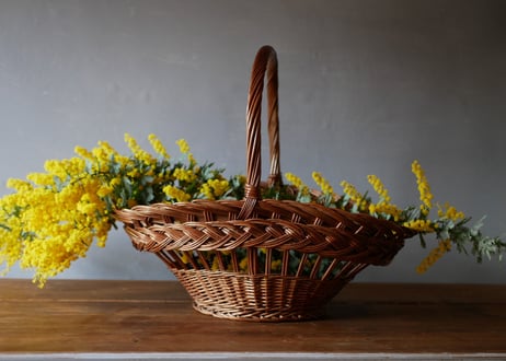 french panier