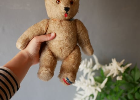 Bear, JAN JAC PARIS