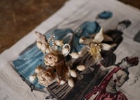 Wax flower