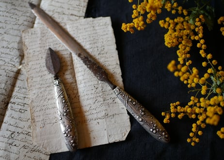 mimosa, paper knife