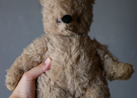 old teddy bear