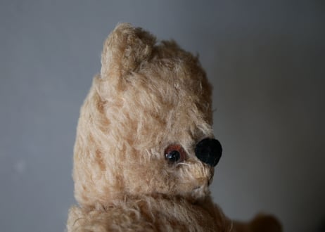 old teddy bear
