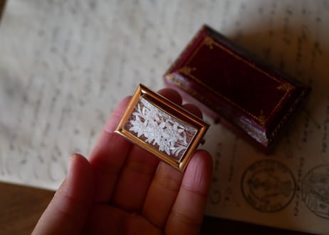 Lucite Brooch Edelwiss