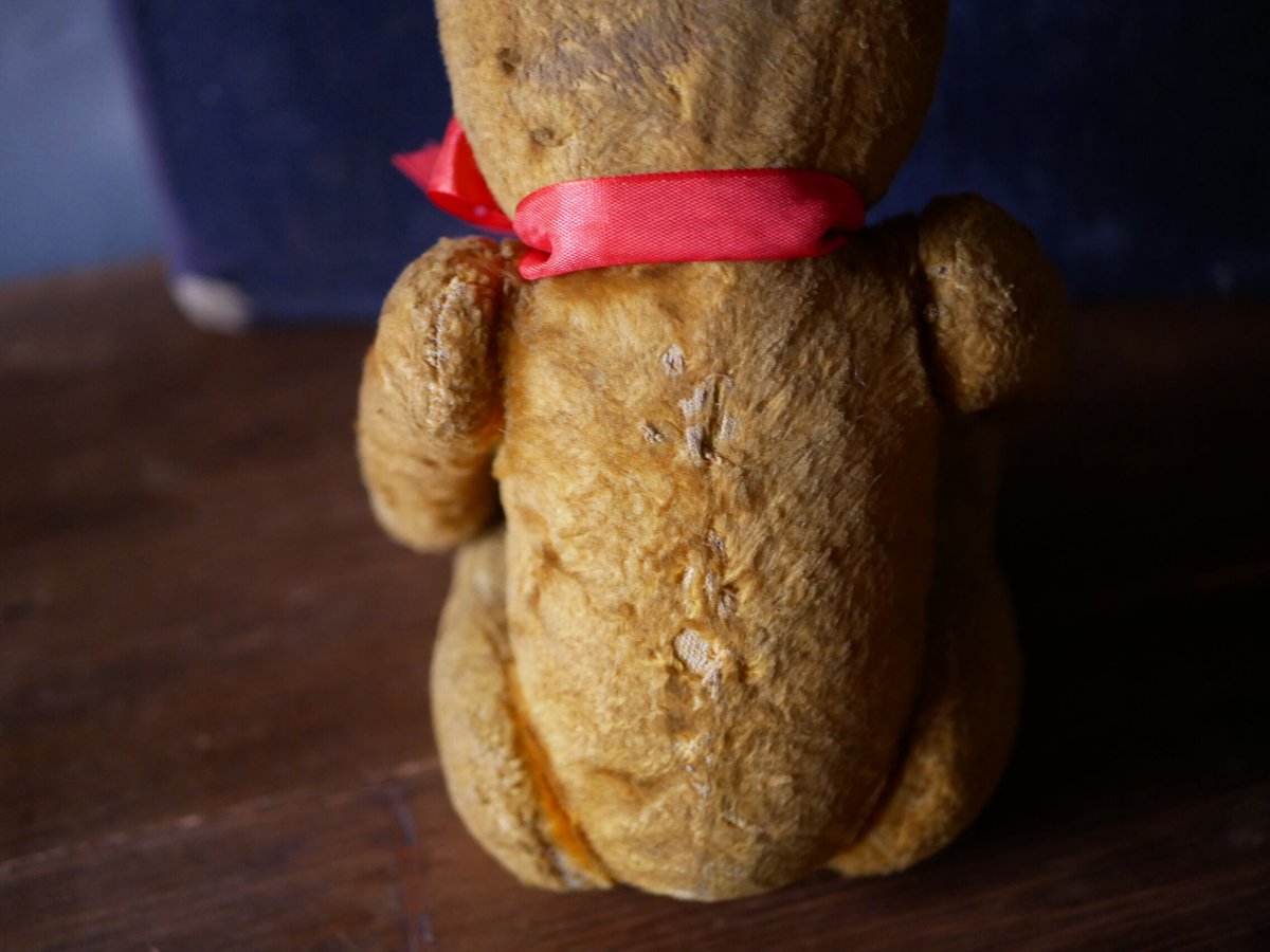 5 アンティークテディベア Hungary | mamantique