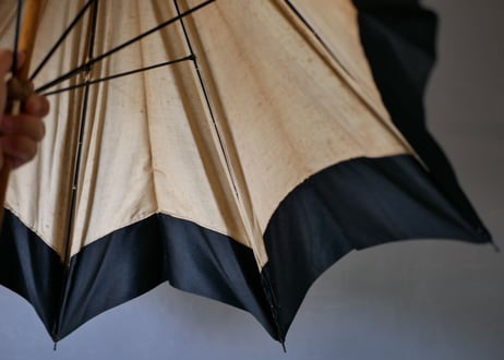 Parasol