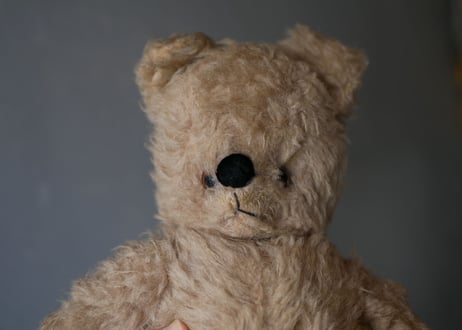 old teddy bear