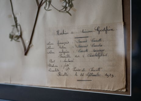 herbier no.2