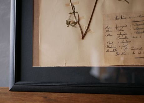 herbier no.2