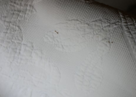 Pique de Marseille, Bed cover