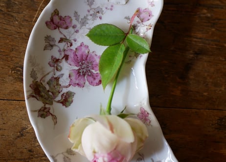 crescent moon Plate