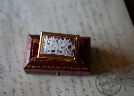 Lucite Brooch Edelwiss