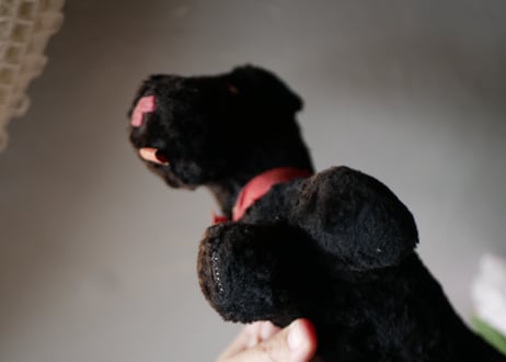 ベロを出した黒いワンちゃん　ぬいぐるみ　フランスアンティーク