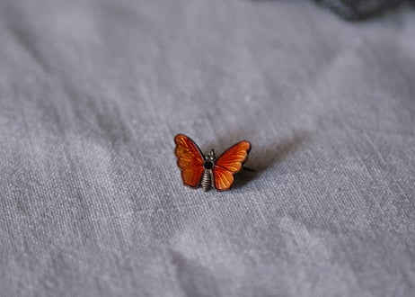 プチブローチ バタフライ ちょうちょ フランス brocante ブロカント