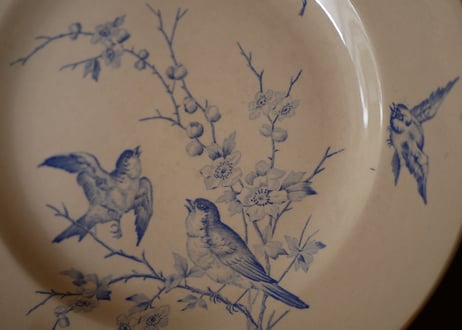 鳥と花　アンティークプレート　平皿　フランスアンティーク