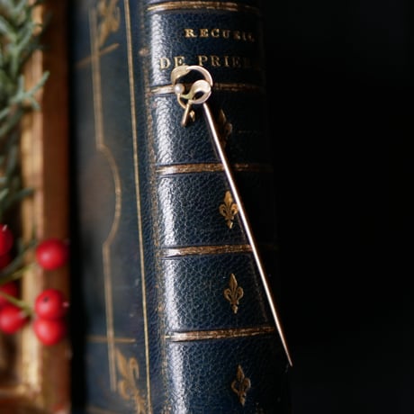 ヤドリギ | STORES