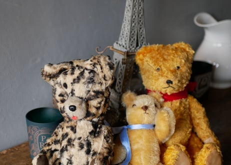 Teddy bear, Leopard