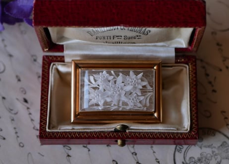 Lucite Brooch Edelwiss