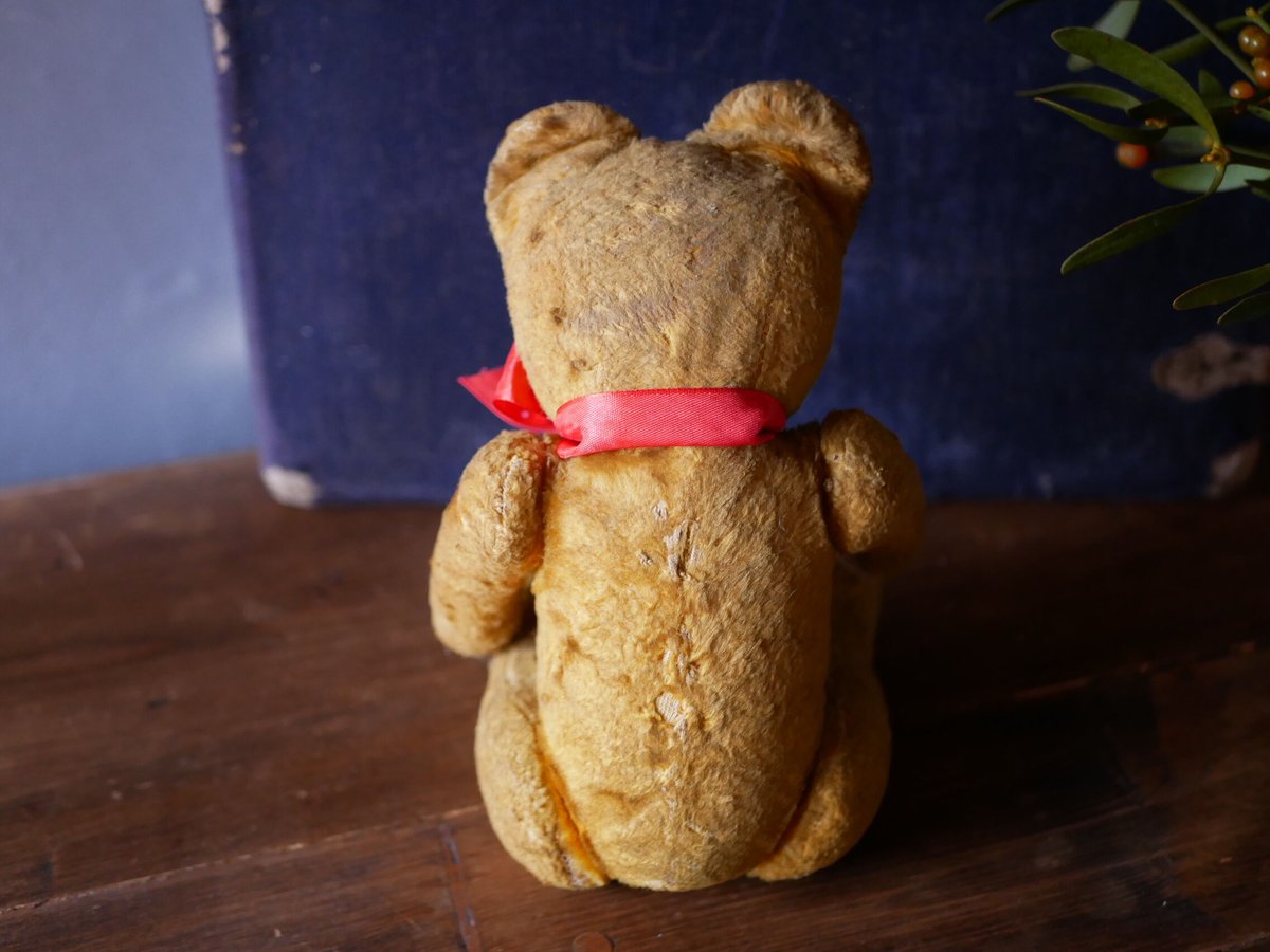 5 アンティークテディベア Hungary | mamantique