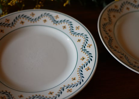 mimosa plate
