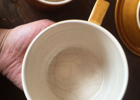 B.  Hornsea イギリス ヴィンテージ カップ ソーサー