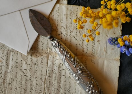 mimosa, petit couteau