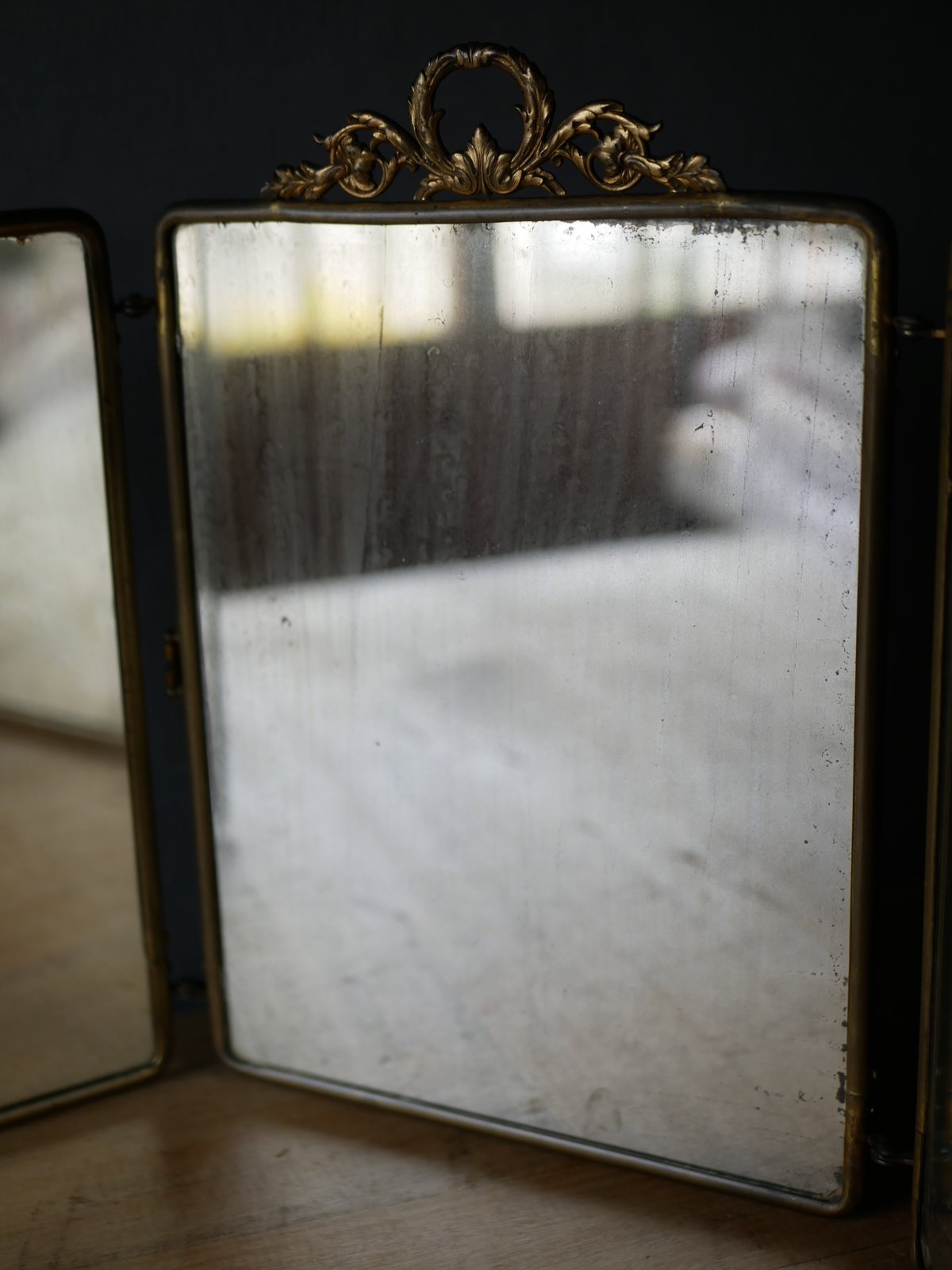 貴婦人のミラー　蛇革　三面鏡　フランスアンティーク　アンティークのある暮らし 貴婦人のミラー蛇革三面鏡フランスアンティークアンティークのある暮らし