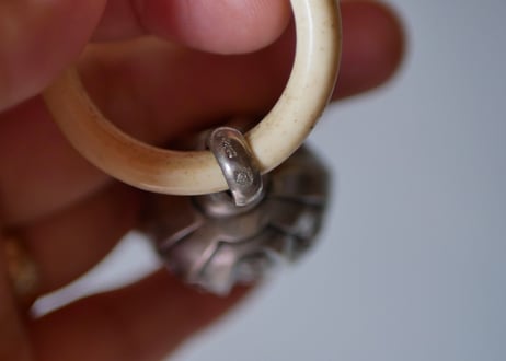 Silver rattle,
