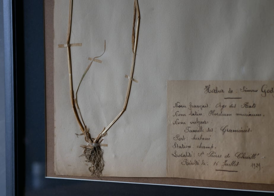 609c780c047a9d21bf22a141