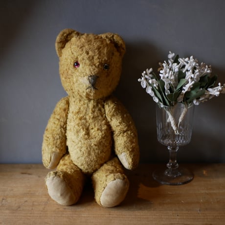 アンティークベア | STORES