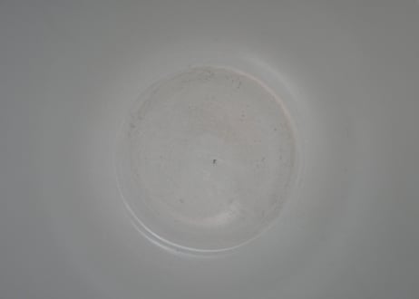 【HOLD・お取り置き】ヤドリギ　宿り木　ピシェ　バドンヴィレ　水差し　花器　フランスアンティーク