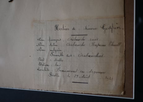 herbier no.8