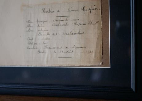 herbier no.8