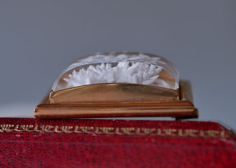 Lucite Brooch Edelwiss