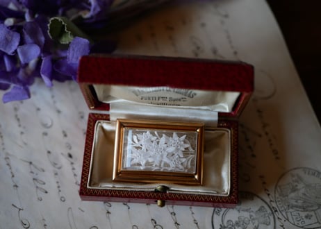 Lucite Brooch Edelwiss