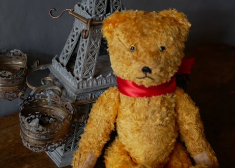 Yellow teddy bear