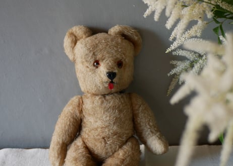 Bear, JAN JAC PARIS