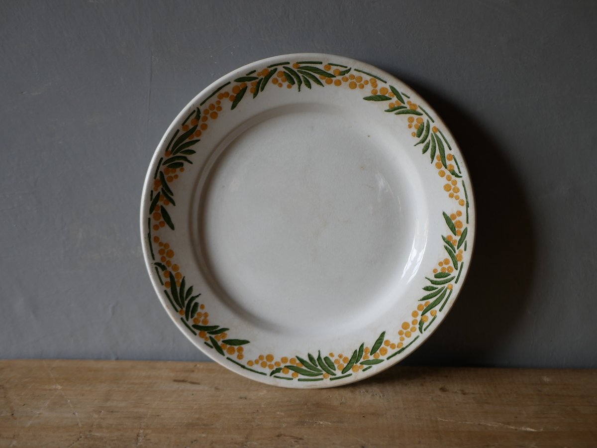 フランスアンティーククレイユモントローSYLVAミモザシリーズ小鳥柄