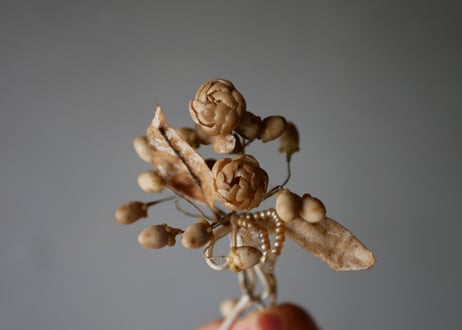 Wax flower
