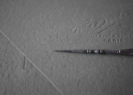Silver needle