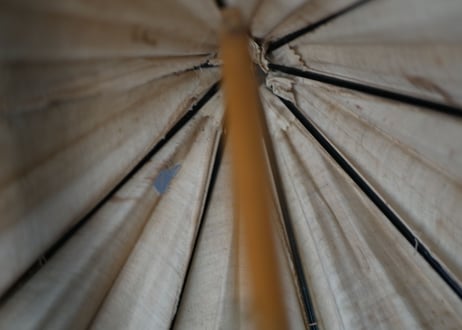 Parasol